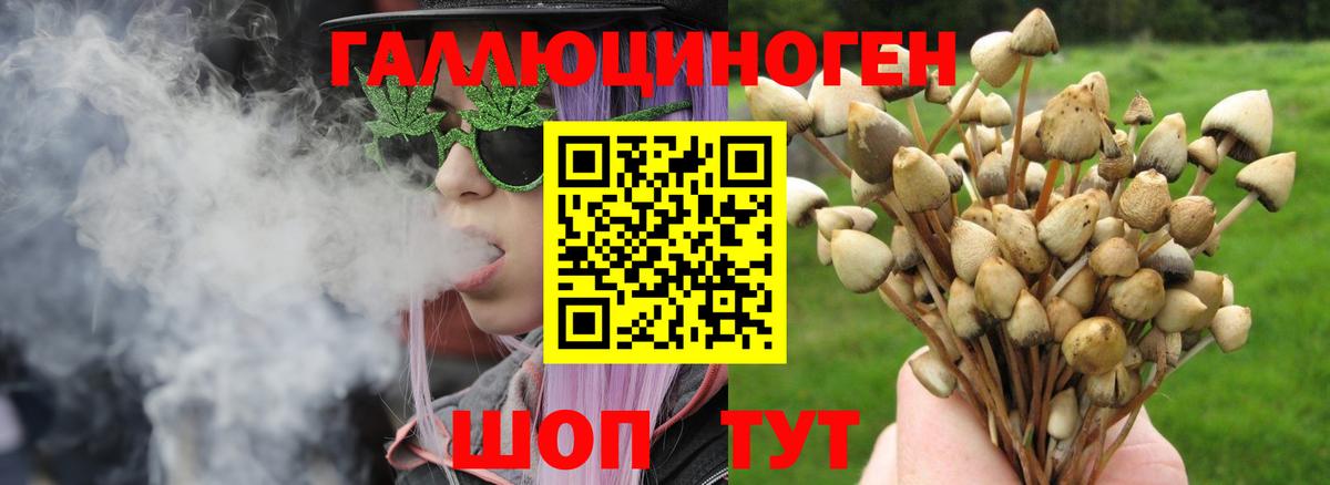 Галлюциногенные грибы MAGIC MUSHROOMS Шарыпово